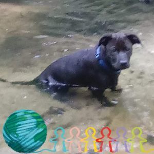 Meet your Posher, Mason